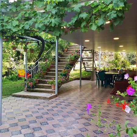 Valiko House In Telavi Hotel Kültér fotó