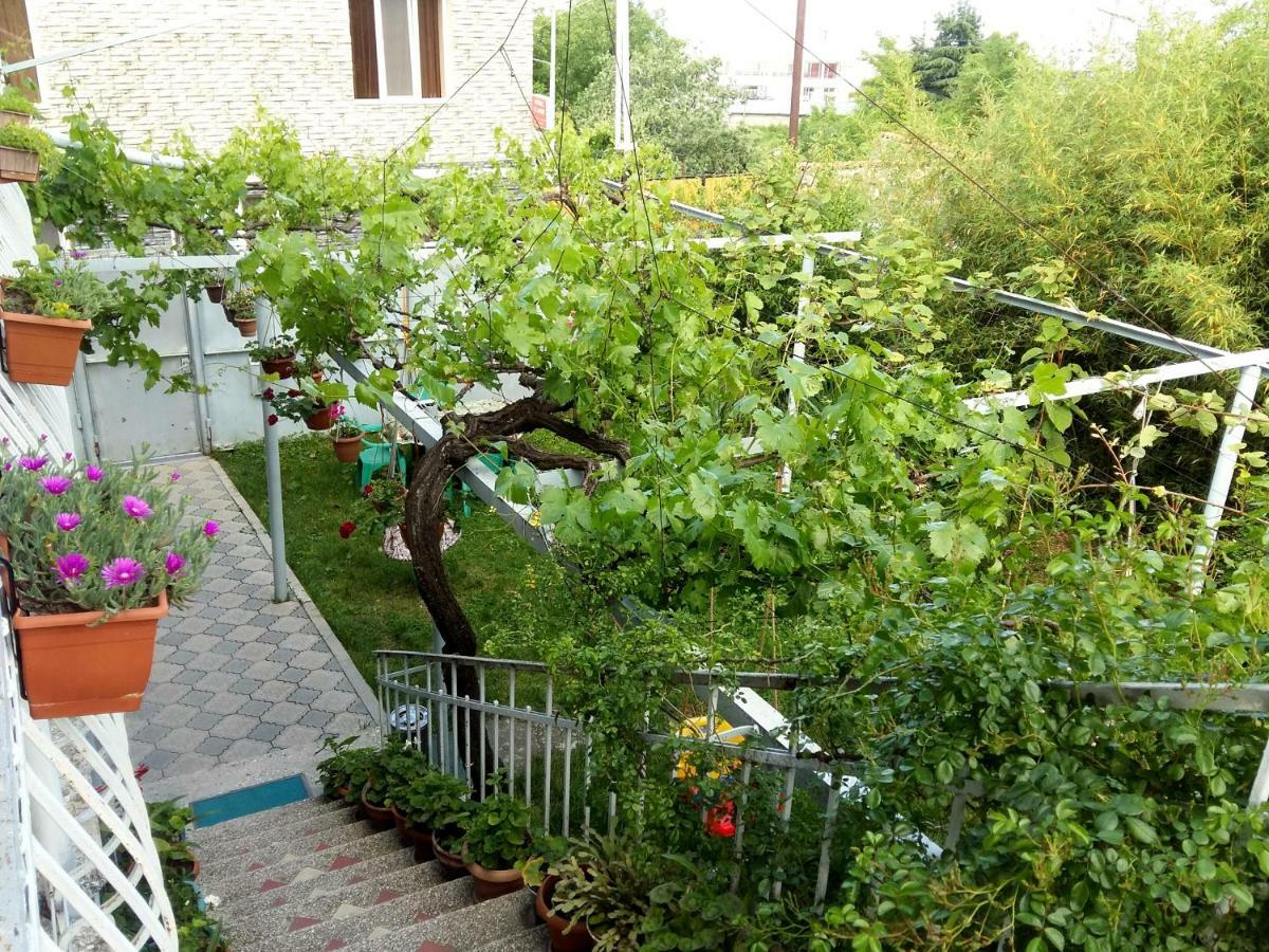 Valiko House In Telavi Hotel Kültér fotó